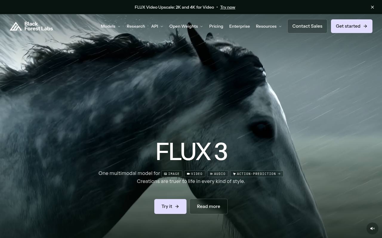 Screenshot of Black Forest Labs