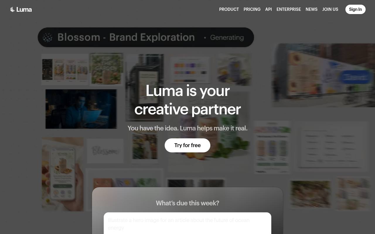 Screenshot of Luma AI